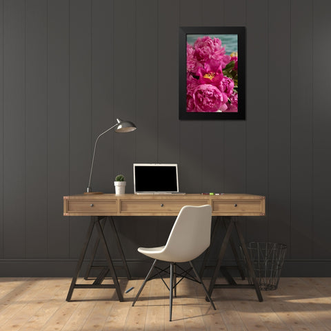 Fuchsia Peonies II Black Modern Wood Framed Art Print by Millet, Karyn