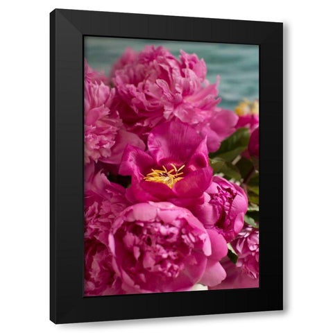 Fuchsia Peonies II Black Modern Wood Framed Art Print by Millet, Karyn