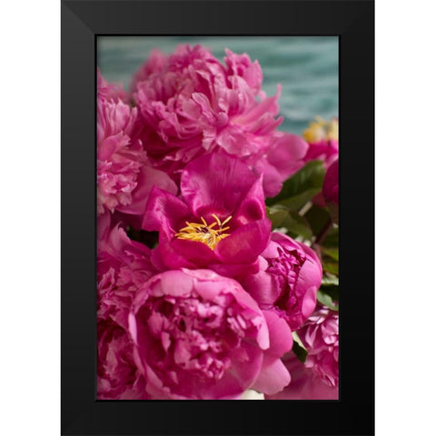 Fuchsia Peonies II Black Modern Wood Framed Art Print by Millet, Karyn