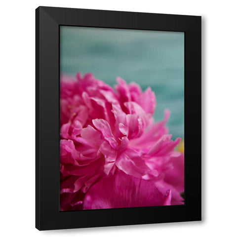 Fuchsia Peonies III Black Modern Wood Framed Art Print by Millet, Karyn