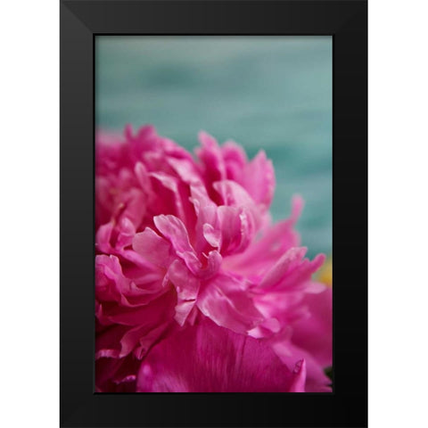 Fuchsia Peonies III Black Modern Wood Framed Art Print by Millet, Karyn