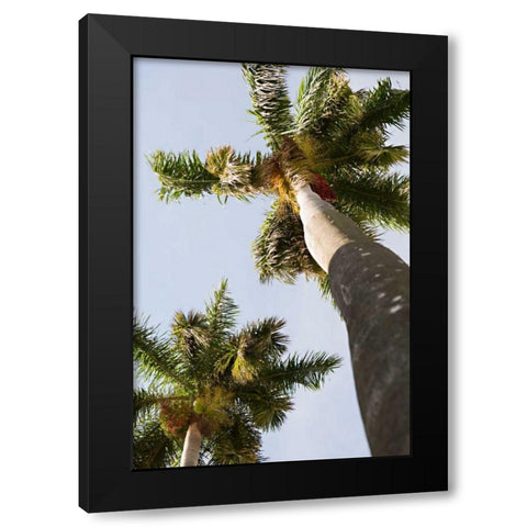 Below the Palms II Black Modern Wood Framed Art Print by Millet, Karyn