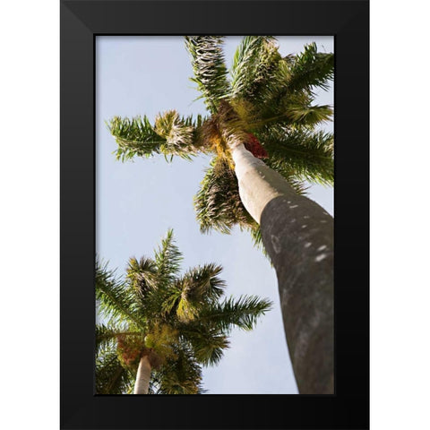 Below the Palms II Black Modern Wood Framed Art Print by Millet, Karyn