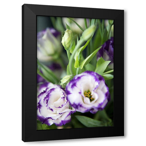 Purple Tipped Floral I Black Modern Wood Framed Art Print by Millet, Karyn