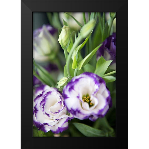 Purple Tipped Floral I Black Modern Wood Framed Art Print by Millet, Karyn