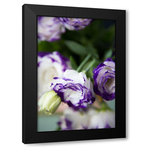 Purple Tipped Floral II Black Modern Wood Framed Art Print by Millet, Karyn