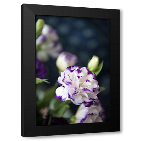 Purple Tipped Floral III Black Modern Wood Framed Art Print with Double Matting by Millet, Karyn
