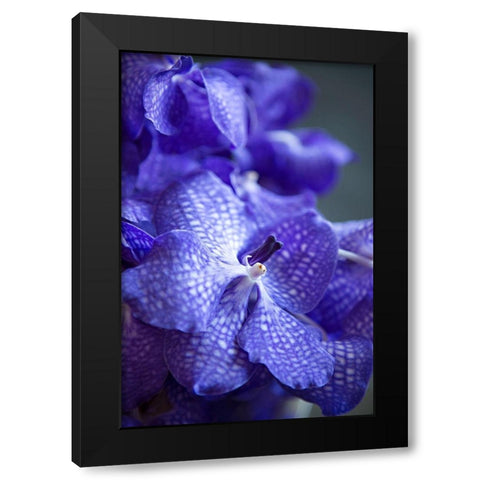 Vibrant Periwinkle Floral I Black Modern Wood Framed Art Print with Double Matting by Millet, Karyn