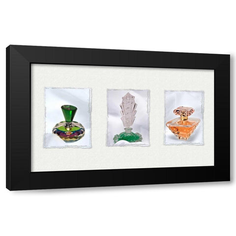 Perfume Triptych II Black Modern Wood Framed Art Print with Double Matting by McNemar, C. Thomas