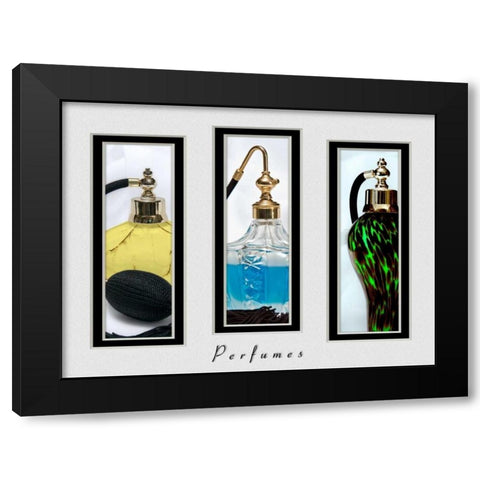 Perfume Triptych III Black Modern Wood Framed Art Print with Double Matting by McNemar, C. Thomas