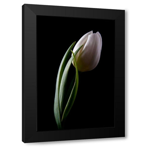 Tulips III Black Modern Wood Framed Art Print by McNemar, C. Thomas