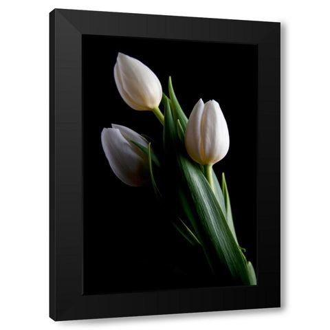 Tulips IV Black Modern Wood Framed Art Print with Double Matting by McNemar, C. Thomas