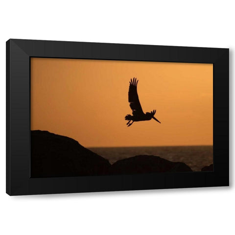 Arise at Dawn Black Modern Wood Framed Art Print by Parker, Susann