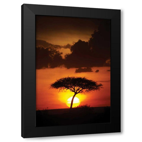 Kenya Sunrise Black Modern Wood Framed Art Print with Double Matting by Parker, Susann
