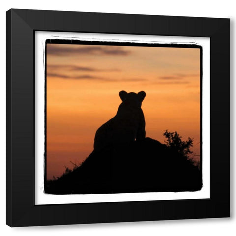 Radiant Africa III Black Modern Wood Framed Art Print with Double Matting by Parker, Susann