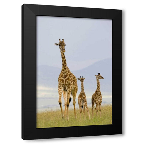 Savannah Strut Black Modern Wood Framed Art Print by Parker, Susann