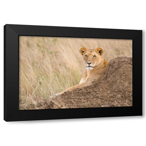 Vantage Point Black Modern Wood Framed Art Print by Parker, Susann