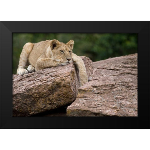 Lounging Black Modern Wood Framed Art Print by Parker, Susann