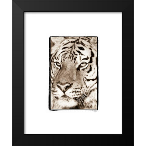 True II Black Modern Wood Framed Art Print by Parker, Susann