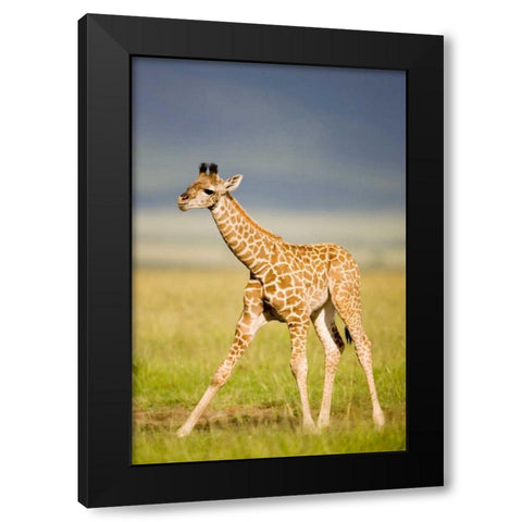 First Steps Black Modern Wood Framed Art Print by Parker, Susann