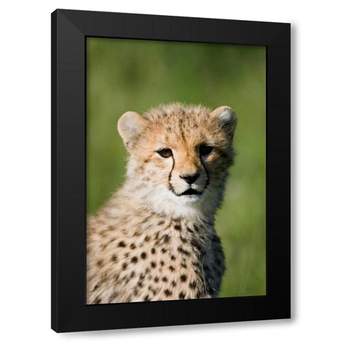 Innocence Renewed Black Modern Wood Framed Art Print by Parker, Susann