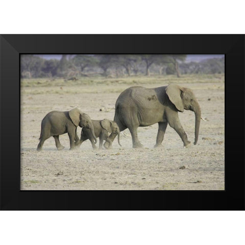 Memory Lane Black Modern Wood Framed Art Print by Parker, Susann