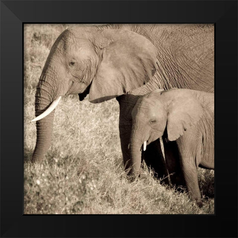 The Ultimate Bonding Black Modern Wood Framed Art Print by Parker, Susann