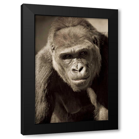 Planet of the Apes Black Modern Wood Framed Art Print by Parker, Susann