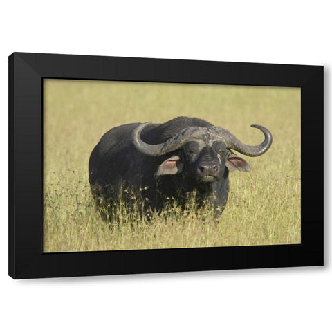 The Fixed Stare Black Modern Wood Framed Art Print by Parker, Susann