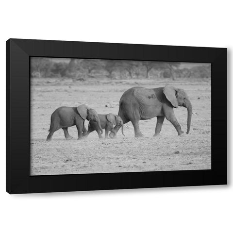 Memory Lane Black Modern Wood Framed Art Print by Parker, Susann