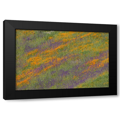 Wildflower Hills III Black Modern Wood Framed Art Print with Double Matting by Peterson, Lee