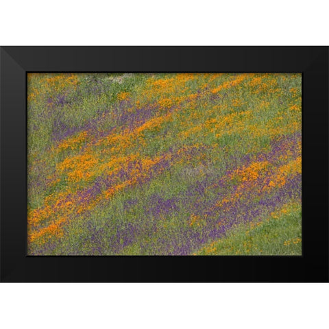 Wildflower Hills III Black Modern Wood Framed Art Print by Peterson, Lee