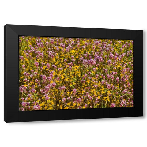 Yellow and Purple Black Modern Wood Framed Art Print with Double Matting by Peterson, Lee