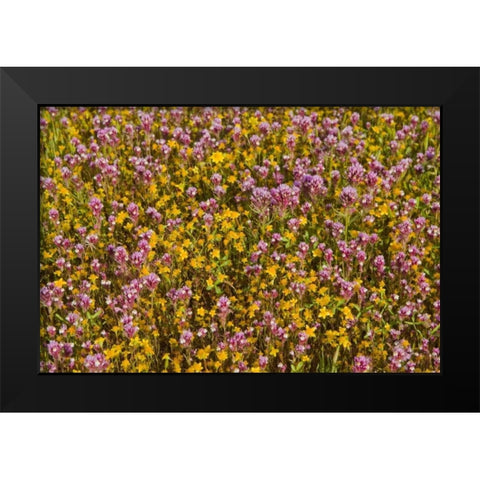 Yellow and Purple Black Modern Wood Framed Art Print by Peterson, Lee