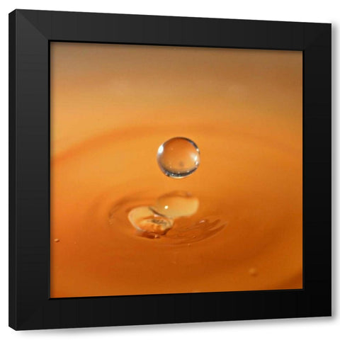 Tomato Soup Drop I Black Modern Wood Framed Art Print with Double Matting by Putman, Tammy