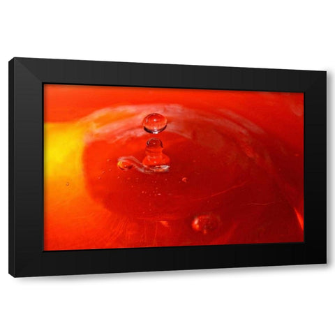 Red Drink Drop III Black Modern Wood Framed Art Print with Double Matting by Putman, Tammy