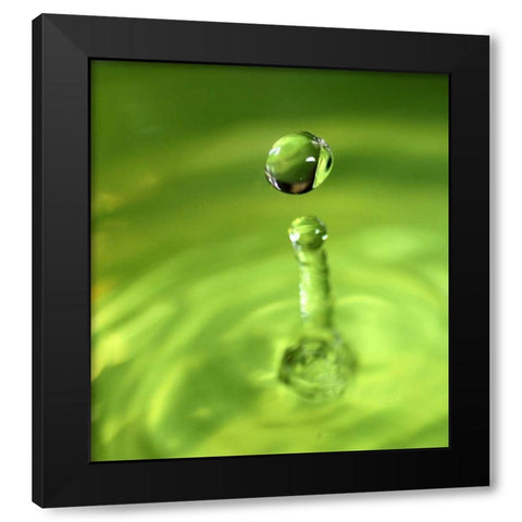 Lemon Lime Drop III Black Modern Wood Framed Art Print with Double Matting by Putman, Tammy