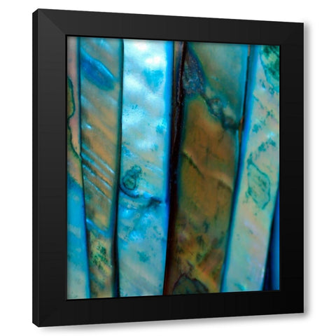 Shell Be Blue II Black Modern Wood Framed Art Print with Double Matting by Putman, Tammy