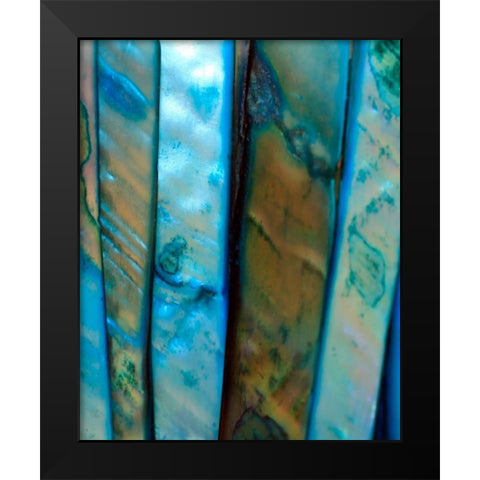 Shell Be Blue II Black Modern Wood Framed Art Print by Putman, Tammy