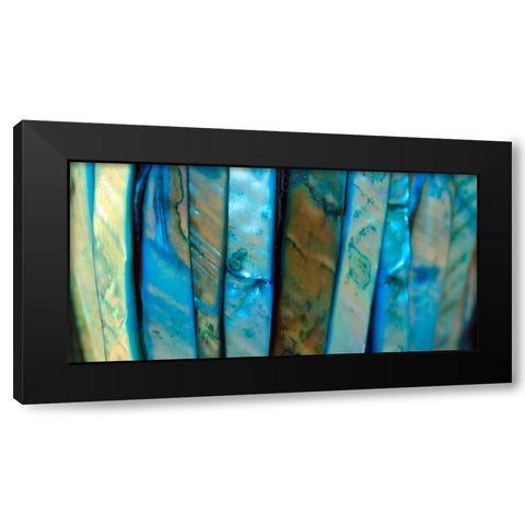 Shell Be Blue III Black Modern Wood Framed Art Print with Double Matting by Putman, Tammy