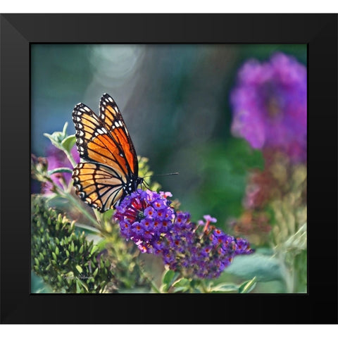 Monarch Garden II Black Modern Wood Framed Art Print by Putman, Tammy