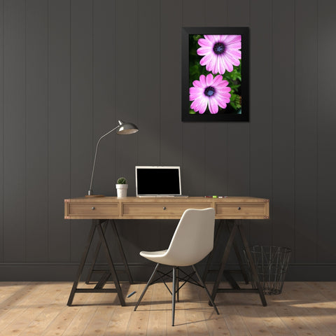 In the Middle Black Modern Wood Framed Art Print by Putman, Tammy