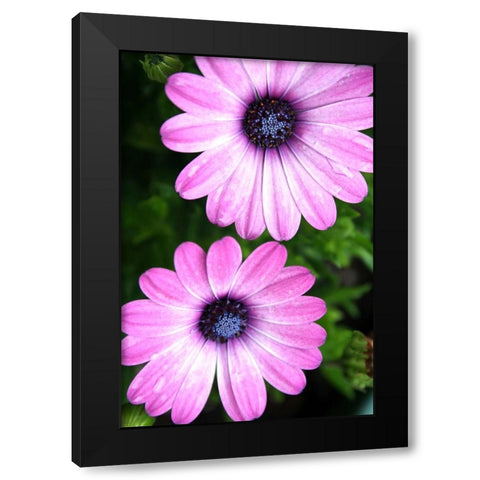 In the Middle Black Modern Wood Framed Art Print with Double Matting by Putman, Tammy