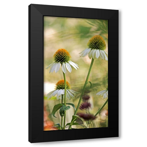 White Cones II Black Modern Wood Framed Art Print with Double Matting by Putman, Tammy