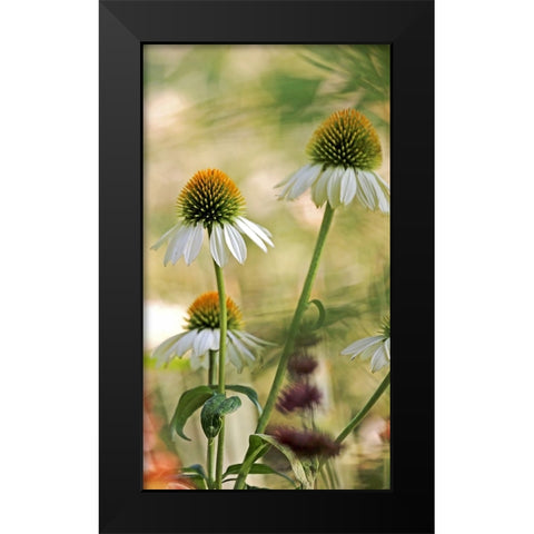 White Cones II Black Modern Wood Framed Art Print by Putman, Tammy