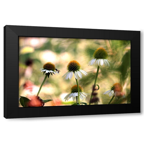White Cones III Black Modern Wood Framed Art Print with Double Matting by Putman, Tammy