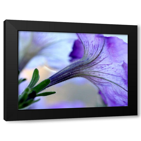 Purple Light Black Modern Wood Framed Art Print with Double Matting by Putman, Tammy
