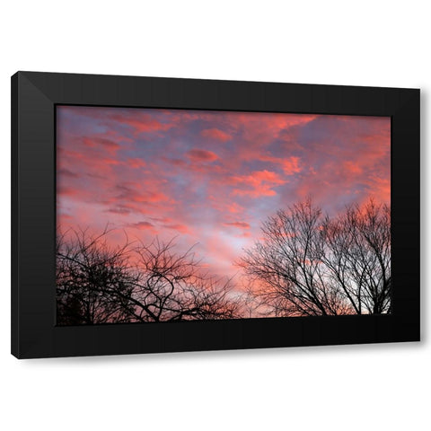 Dusk Silhouette III Black Modern Wood Framed Art Print with Double Matting by Putman, Tammy