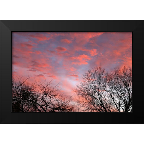 Dusk Silhouette III Black Modern Wood Framed Art Print by Putman, Tammy