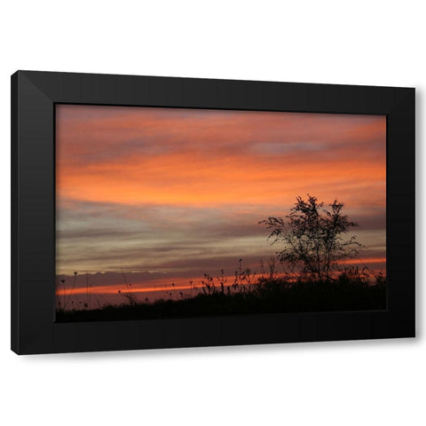 Peaceful Sunset Black Modern Wood Framed Art Print by Putman, Tammy